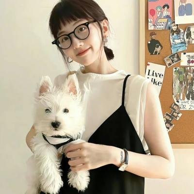非法途径